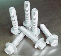 �_���_���a(ch��n)���İl(f��)չڅ��